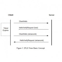 Datagram Transport Layer Security