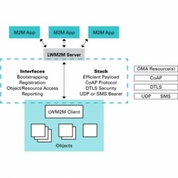Lightweight M2M